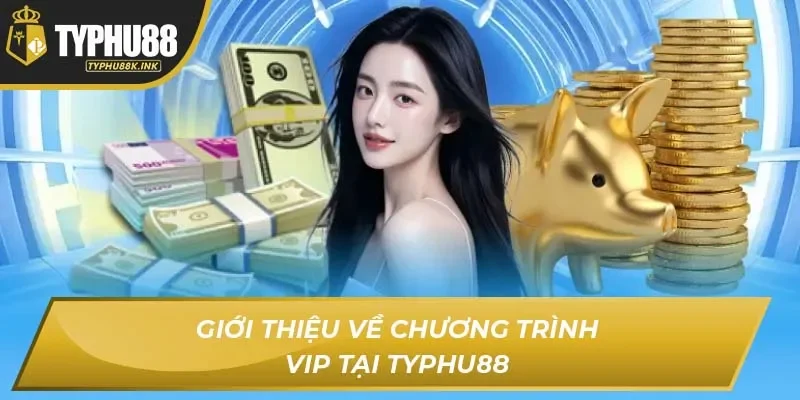 Giới thiệu về chương trình VIP tại TYPHU88