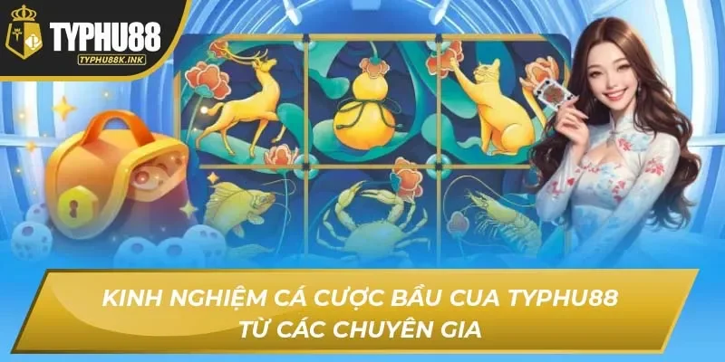Kinh nghiệm cá cược bầu cua Typhu88 từ các chuyên gia